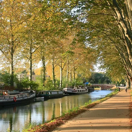 Montez Au Creneau, Face A La Cite Vue Sublime Carcassonne