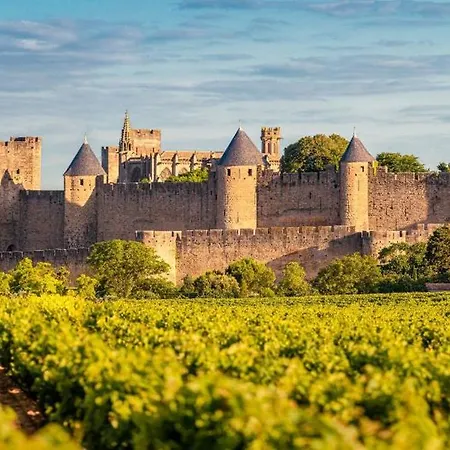 Montez Au Creneau, Face A La Cite Vue Sublime * Καρκασόν